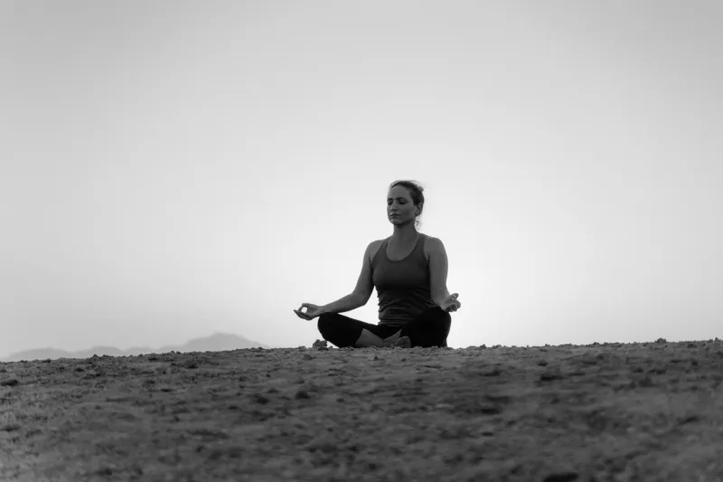 Namaste and Tequila: The Magnificent Hypocrisy of Scottsdale's Wellness-Party Industrial Complex